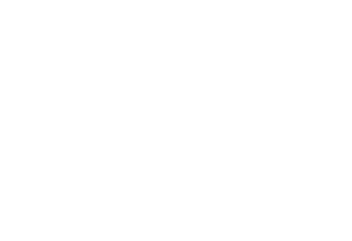 Texas Elite Restoration logo - white
