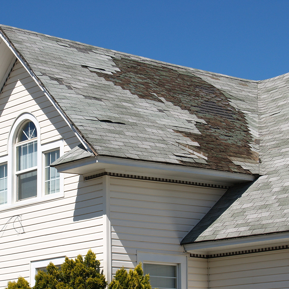 Damaged roof shingles