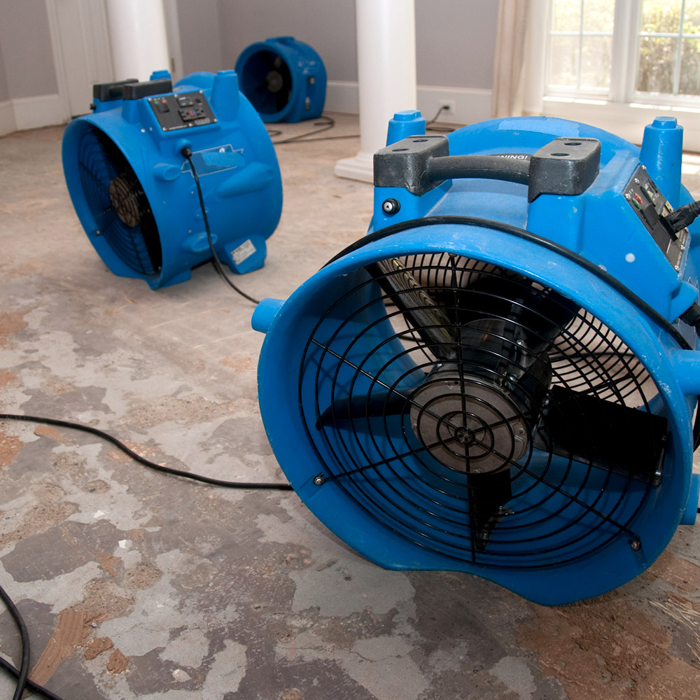 Structural Drying McAllen TX