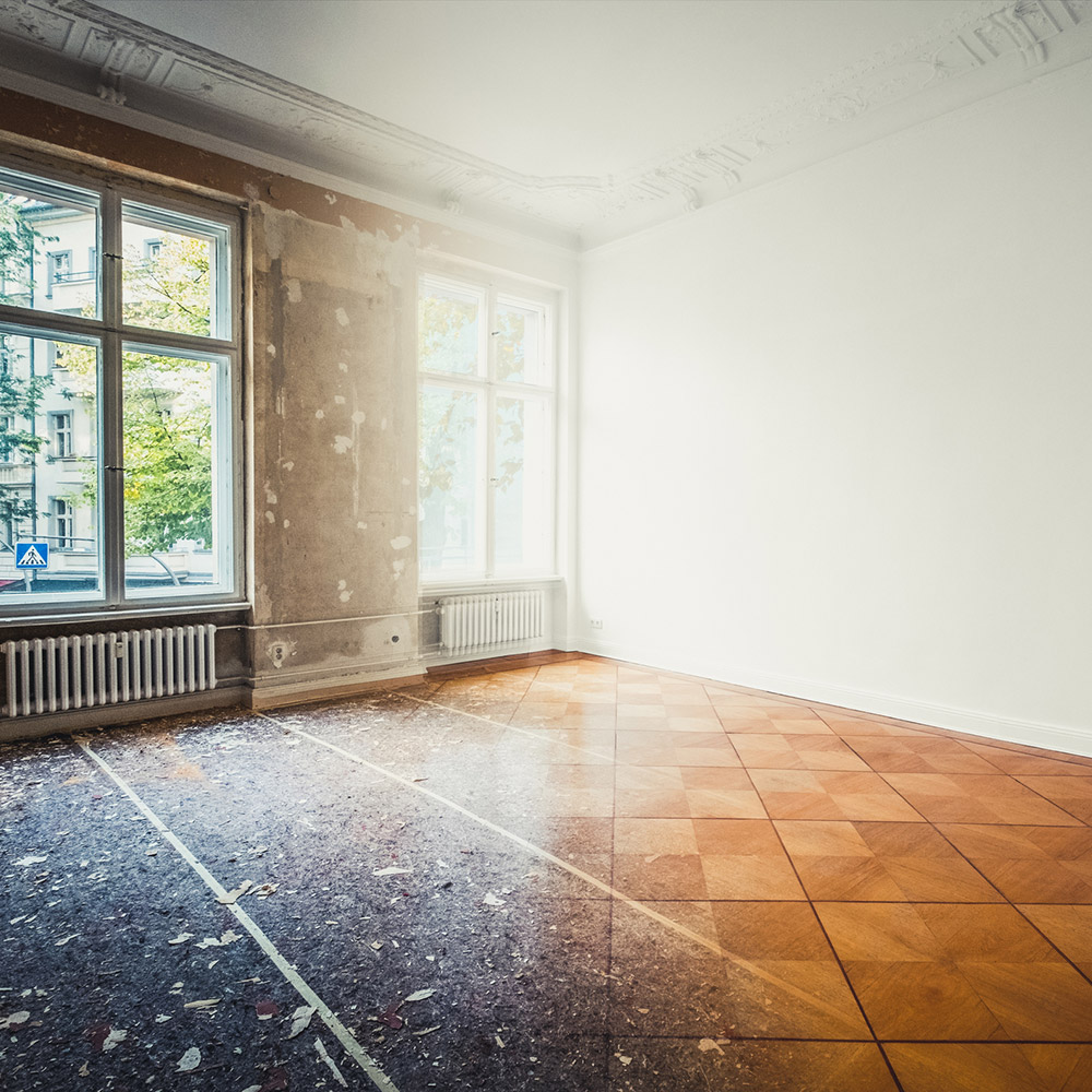Black Mold Removal in Edinburg, TX