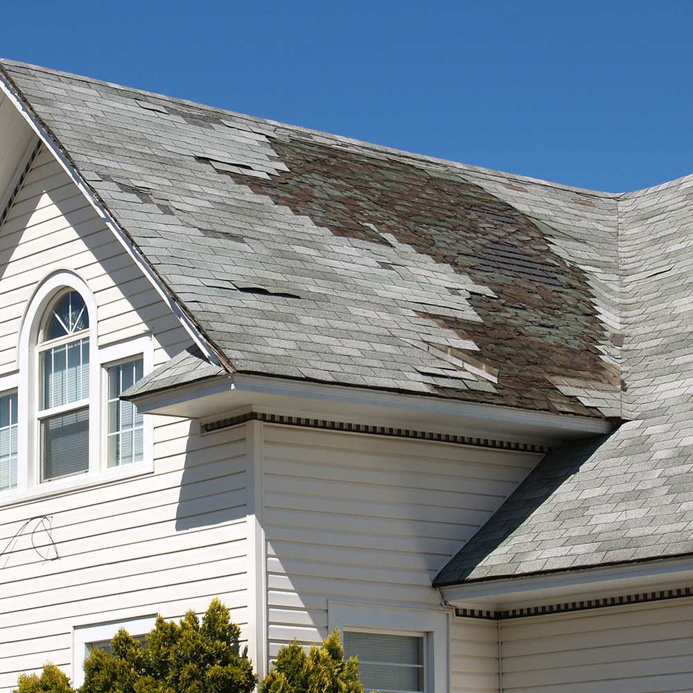 Hurricane Cleanup and Restoration Services in Rio Grande Valley